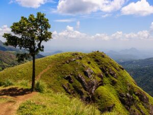 Ella Adam's Peak Sri Lanka